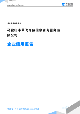 马鞍山市荣飞商务信息咨询服务企业信用报告-天眼查